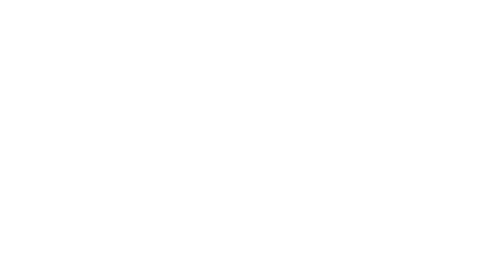 The Volla